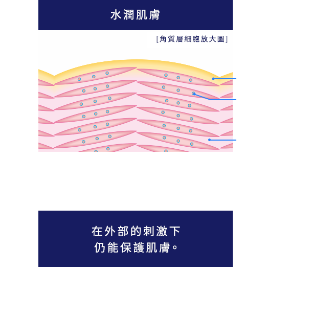 うるおい肌のイメージ